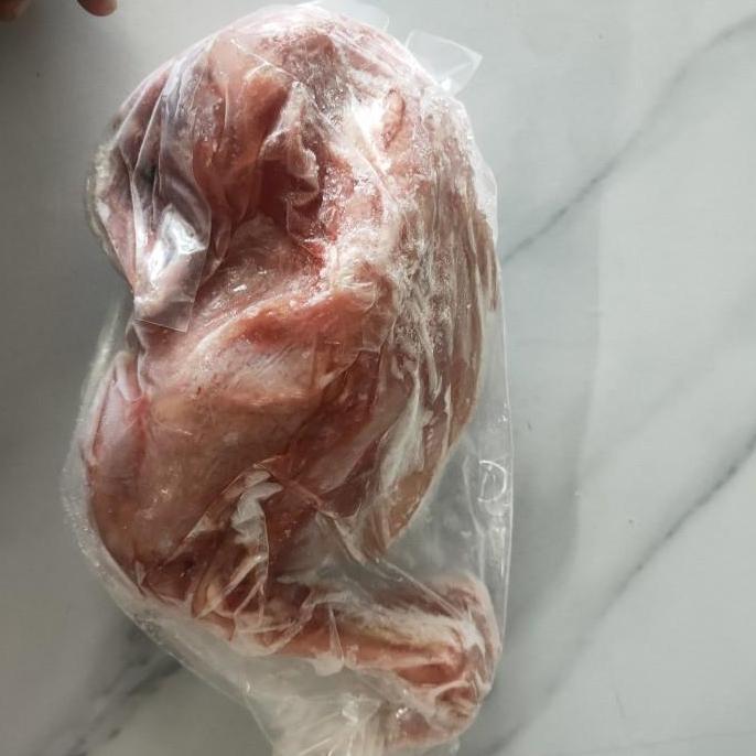 Ayam Pejantan / Ayam Panggang / Ayam Kampung