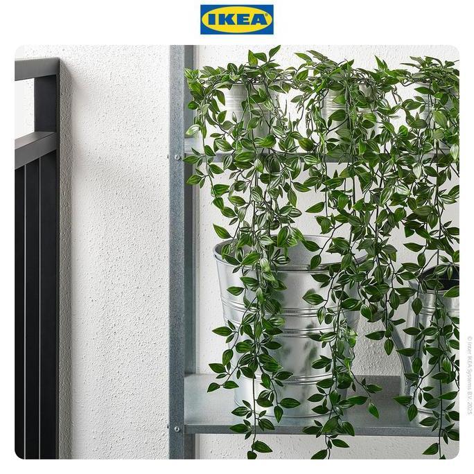 IKEA FEJKA Tanaman Hias Gantung dengan Pot 9 cm