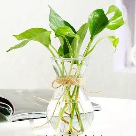 VAS BUNGA KACA BENING TALI RAMI AESTHETIC |  POT BUNGA | VAS RUSTIC