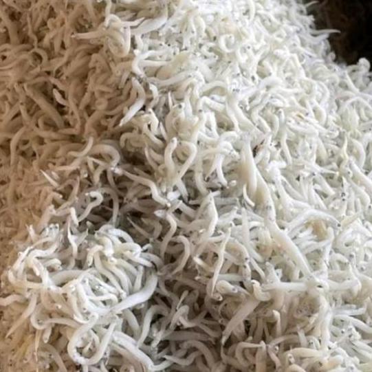 Teri Nasi Medan Tauge 1kg