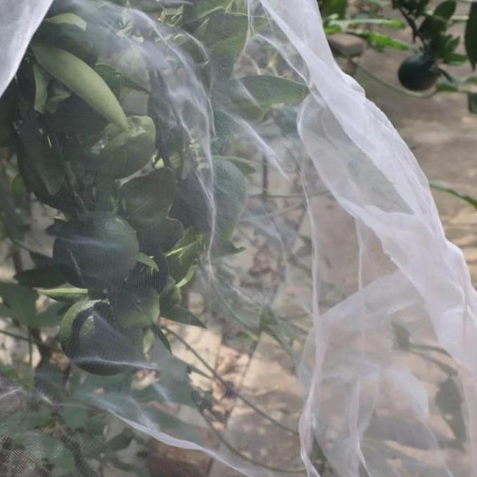 Insect Net Screen Jaring Penghalang Serangga - Lebar 3m Mesh 40