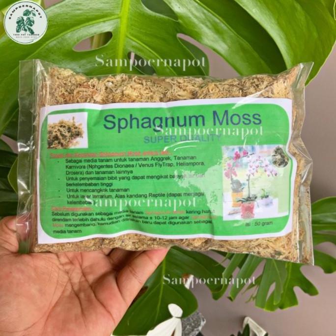 media tanaman bunga anggrek sphagnum Moss