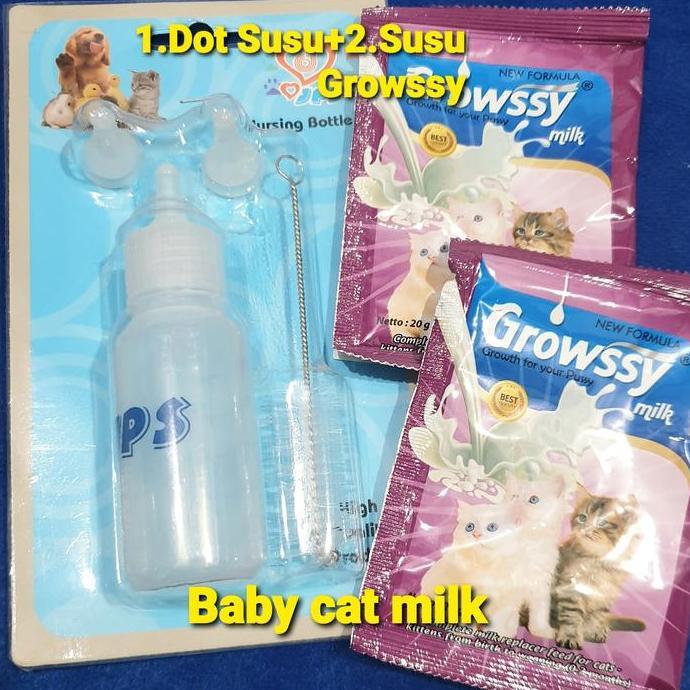 Paket baby cat Dot dan susu-dot kucing dan susu growssy