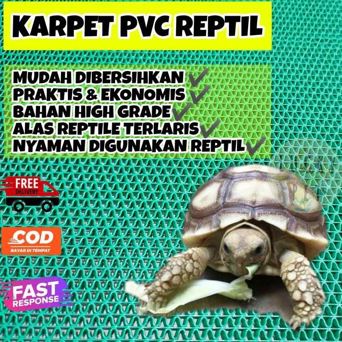 Alas kandang torto 30x40 cm kura kura sulcata karpet PVC jaring reptil