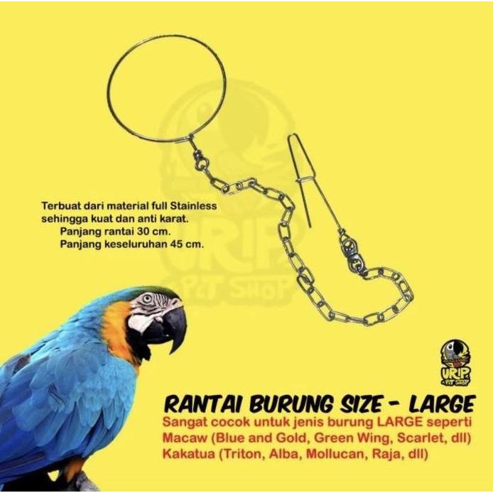 Rantai Burung Stainless Sunconure Nuri Kakaktua Macaw