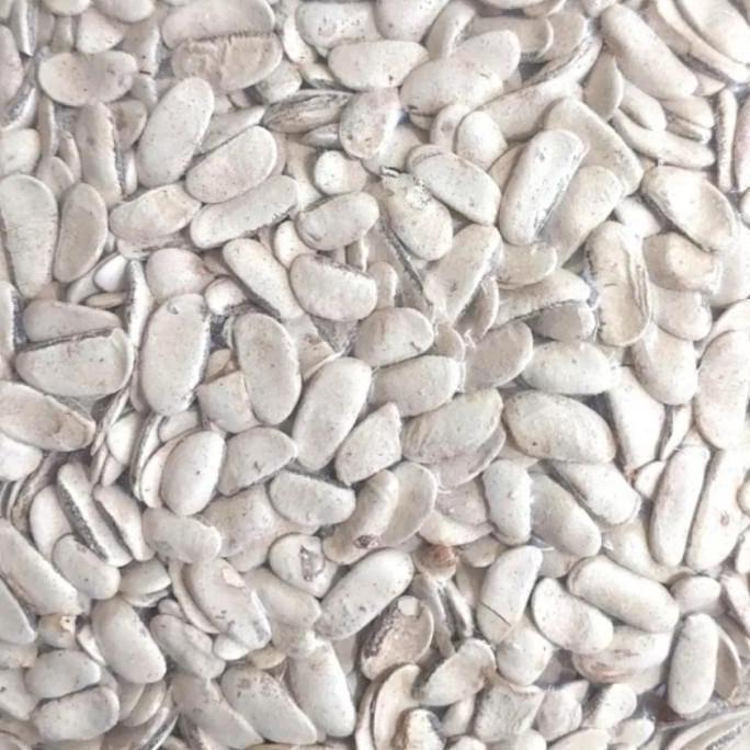 Biji Mahoni Kupas 500 gram - Biji Buah Mahoni Kupas