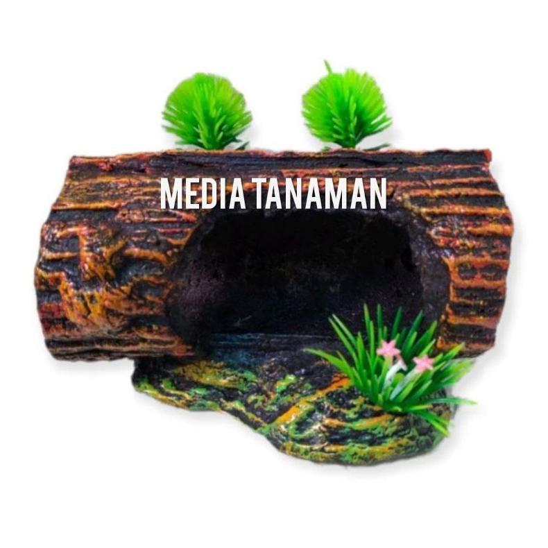 Hiasan Aquarium Rumah Ikan