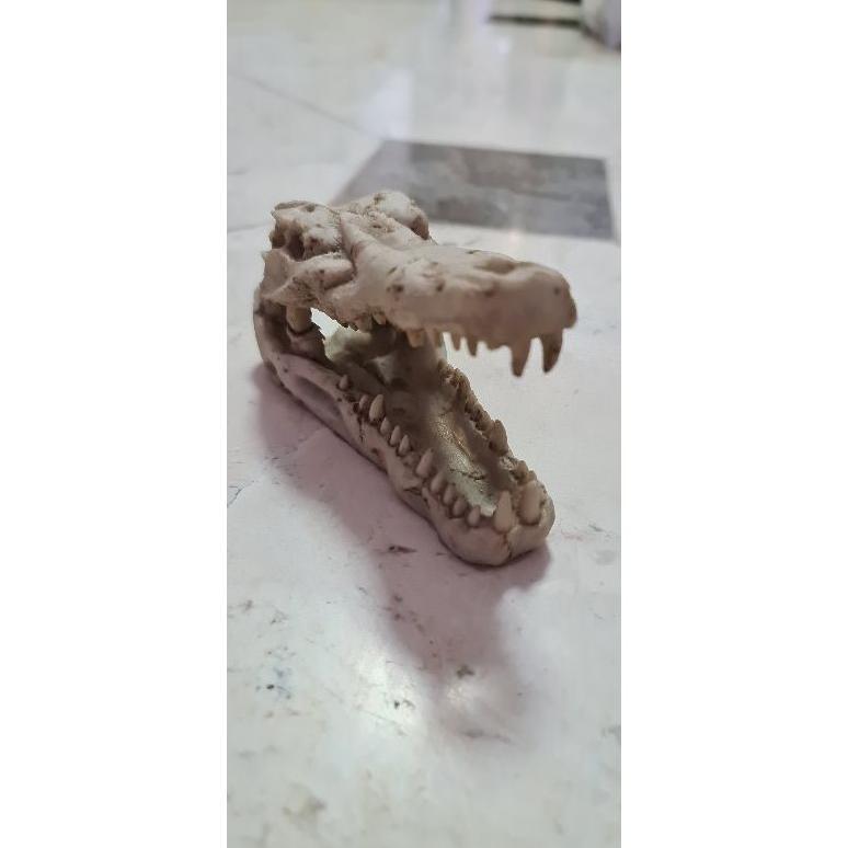 Tengkorak Buaya Hiasan Akuarium Bahan Resin