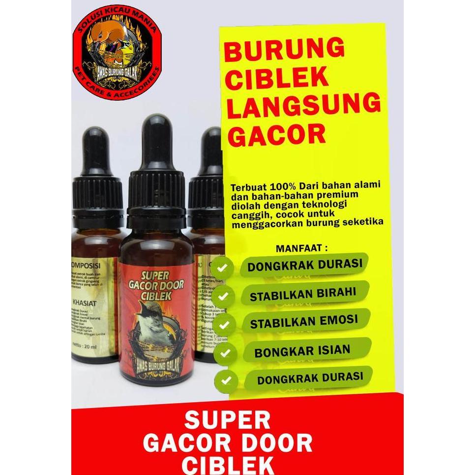 SUPER GACOR DOOR CIBLEK PENGGACOR SEKETIKA
