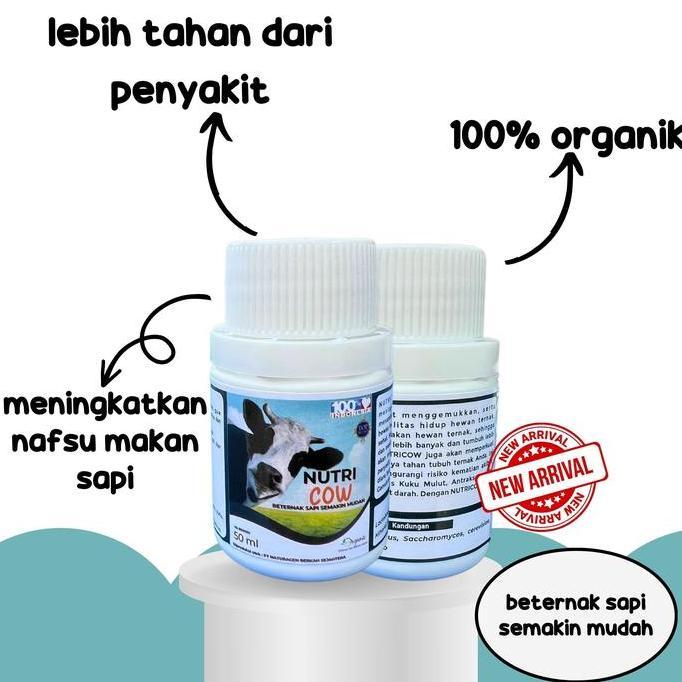NUTRICOW PROBIOTIK SAPI - probiotic penggemuk sapi nutrisi sapi penggemuk sapi super cepat penggemuk