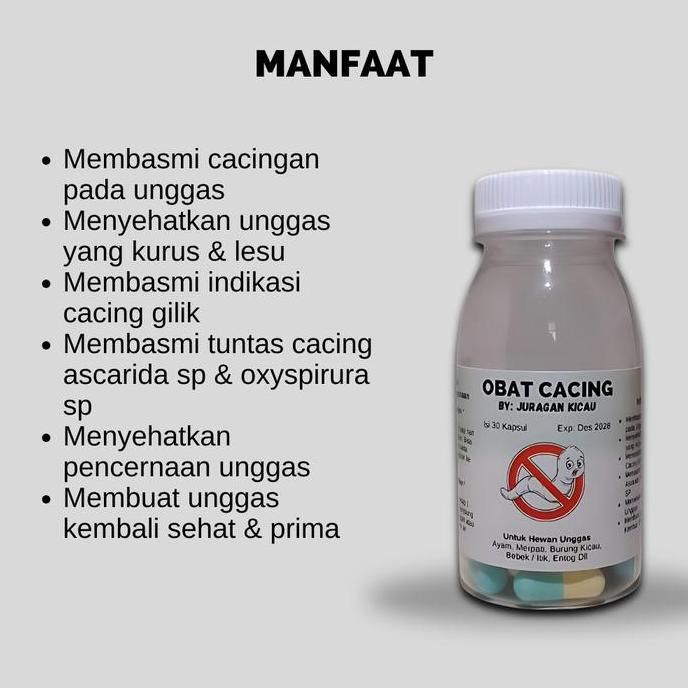 Obat Cacing Burung Kicau Mengobati Burung Cacingan Mencret Untuk Murai Sogon Perkutut Kenari Dll