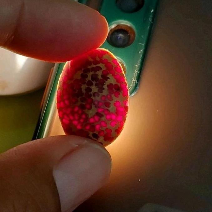 cincin kayu Liwung putih kuning merah tembus senter / cincin batu akik