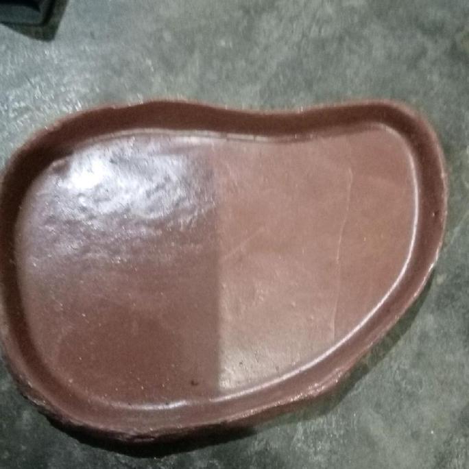 tempat makan Kelomang ukuran besar