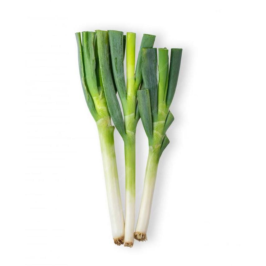 Benih / Bibit / Biji - Daun Bawang 'Freda' Hybrid F1 - LOKAL