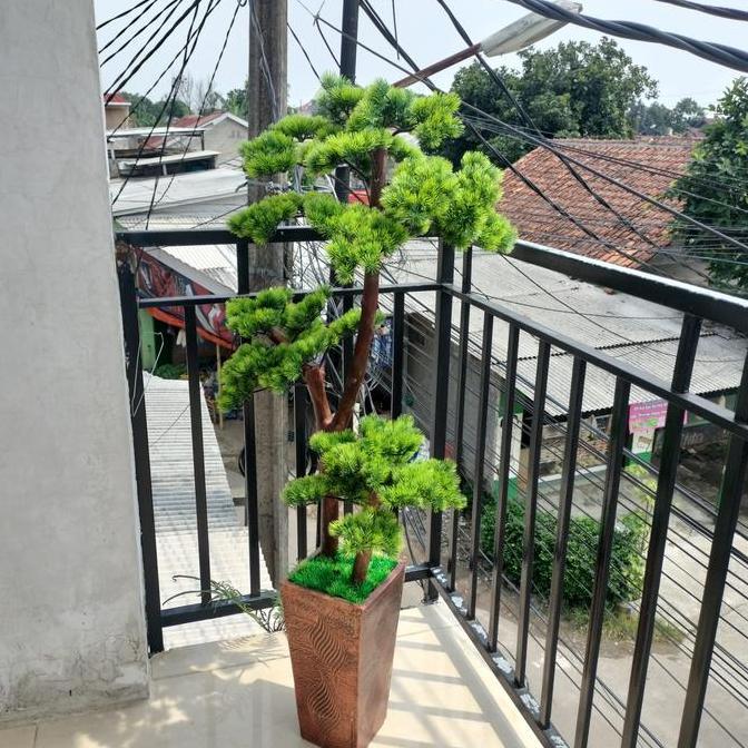 Pohon Bonsai Cemara Udang/Bonsai Cemara Udang Artificial/ Pohon Bonsai Tinggi 1,5 m