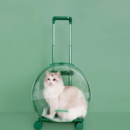 Tas Transparan Kucing Anjing Trolley Cargo Travel Bag Cat Dog Koper