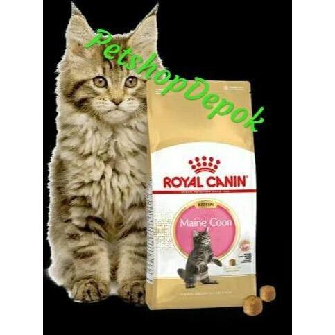 Ready Royal Canin Makan Kucing Maincoon Anakan 2kg