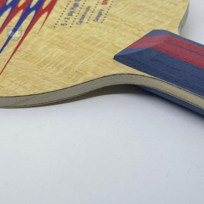 Donic Esprit Carbon / Bet Tenis Meja Pingpong