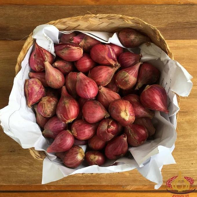 Bawang Merah Brebes Besar Super 1 Sak Karung Ball 20 kg TA