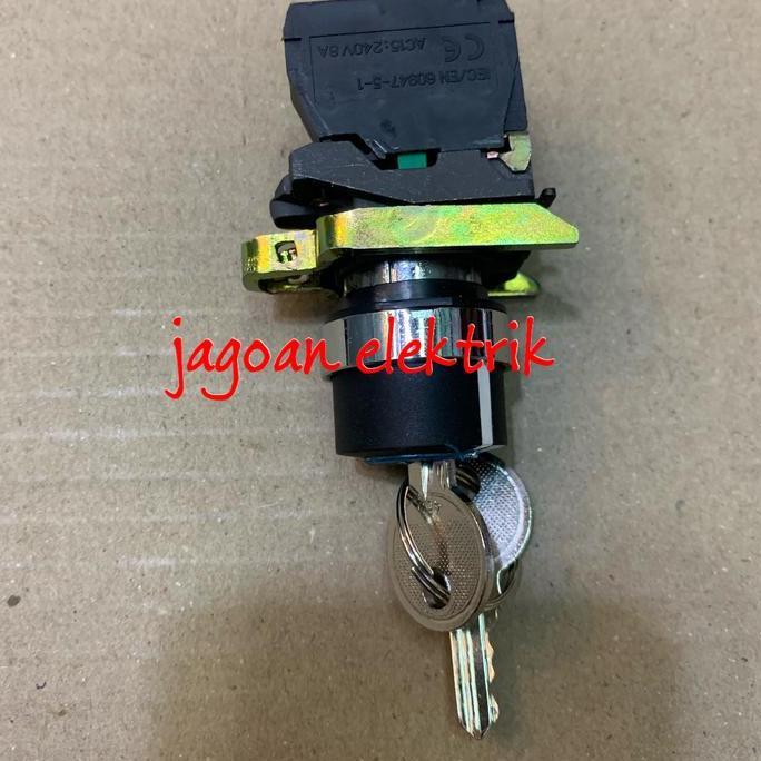 SELECTOR SWITCH KEY 22 MM 2 POSISI FORT LAY4-BG21 READY STOCK