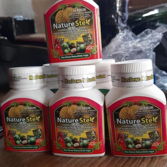 Nature Stek Buah