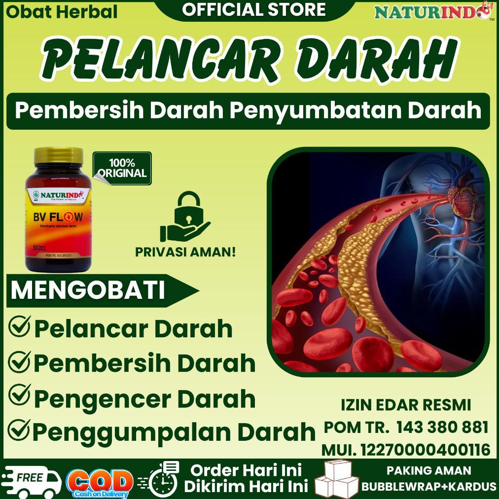 Obat Pelancar Darah Pembersih Pengencer Darah Herbal Penyumbatan Pembuluh Darah Bv Flow