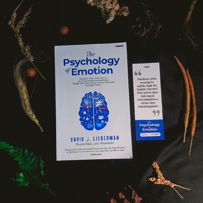 B1Meraukaa - Paket Hemat Terjemahan Buku Ori The Psychology Of Money & The Psychology Of Emotion