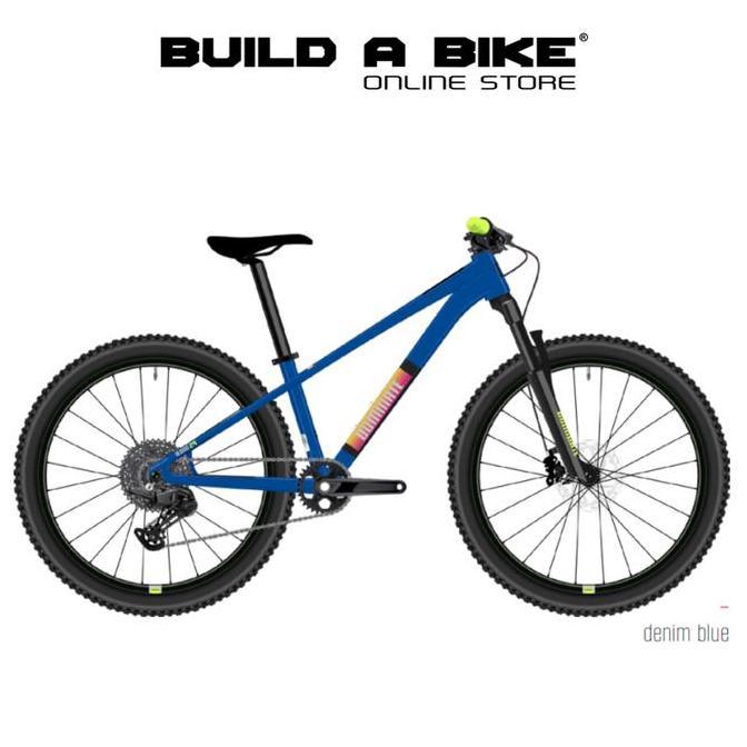 Sepeda Anak Kids DOMINATE A-One 24"