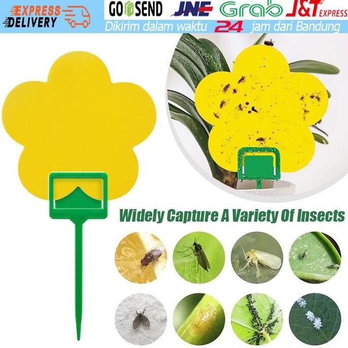 YUZABA 10 Lembar Lem Perekat Lalat Buah Perangkap Hama Likat Kuning Yellow Sticky Trap