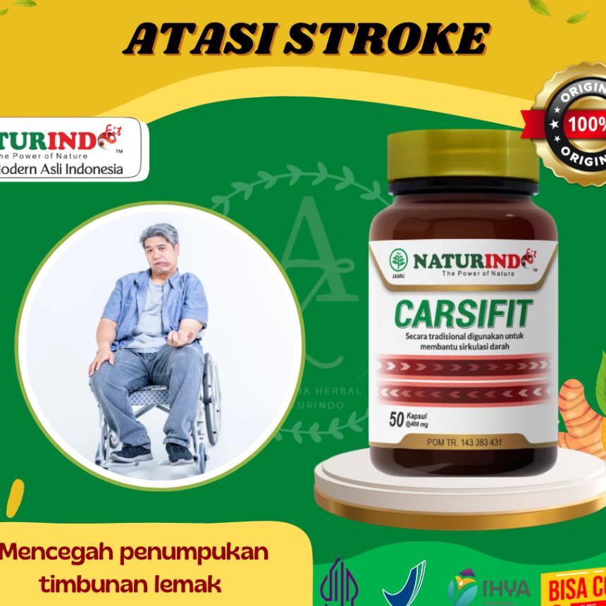 Obat Stroke Obat Struk Stroke Herbal Alami Obat Struk Lumpuh Menahun Dan Ringan Carsifit Naturindo