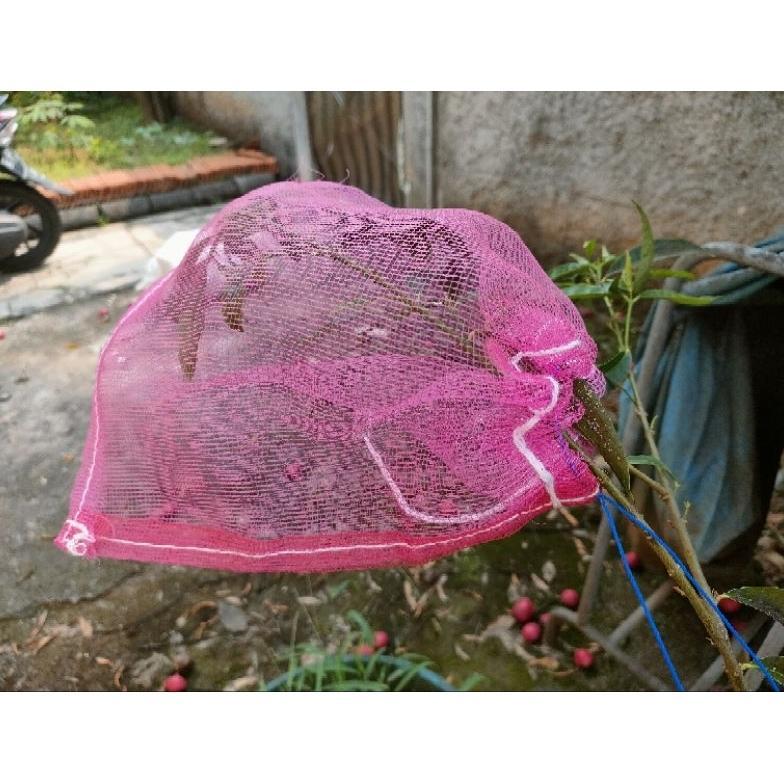 SURYA Fruit cover pelindung buah brongsong mangga,jambu,kelengkeng