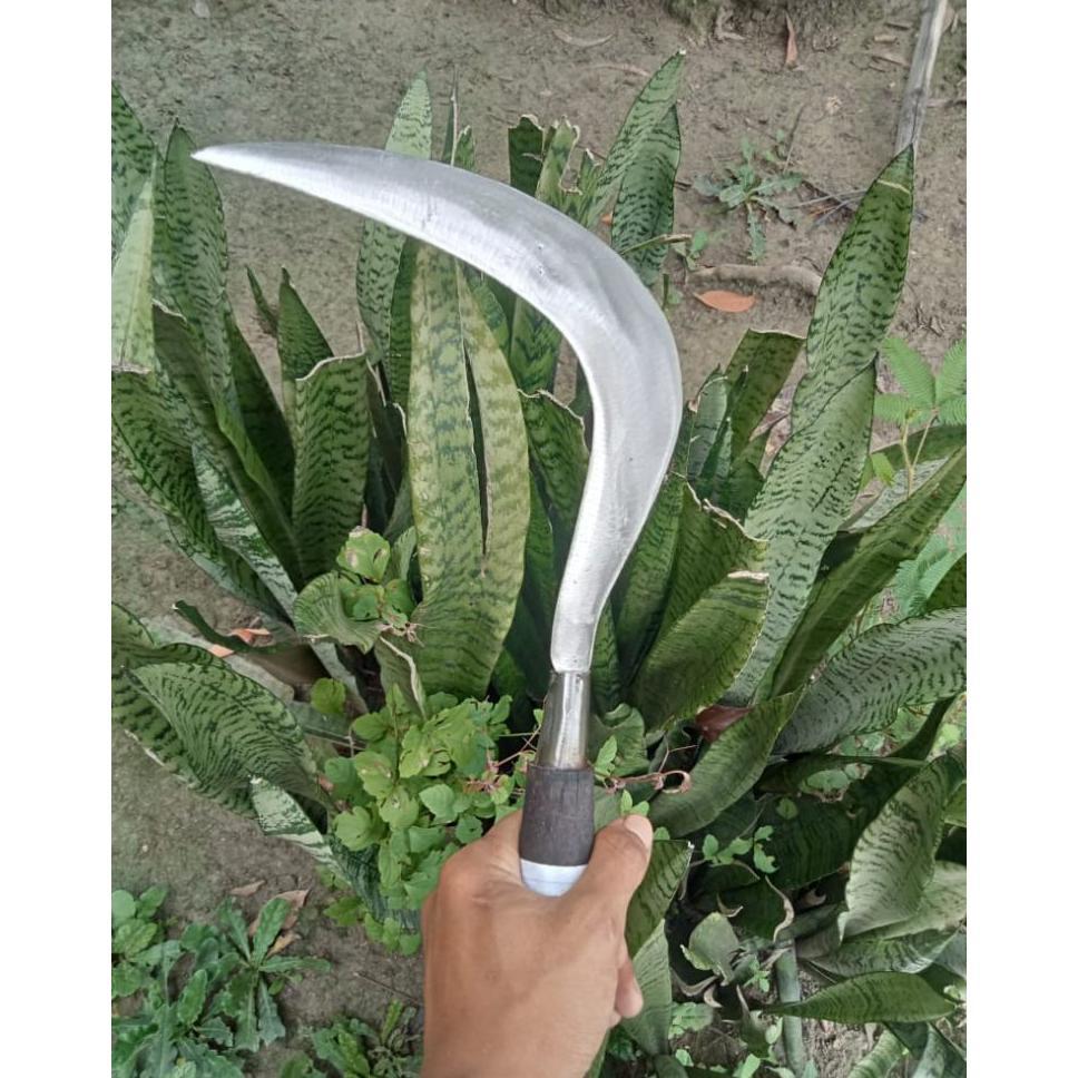 Arit Potong Ranting Baja Super Tajam Original