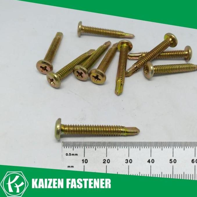 #10x35 Sekrup Wafer Head SDS