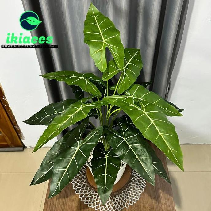 DAUN KELADI PLASTIK JUMBO DAUN CALADIUM ARTIFISIAL TANAMAN HIAS PLASTIK BUNGA HIAS SUDUT RUMAH