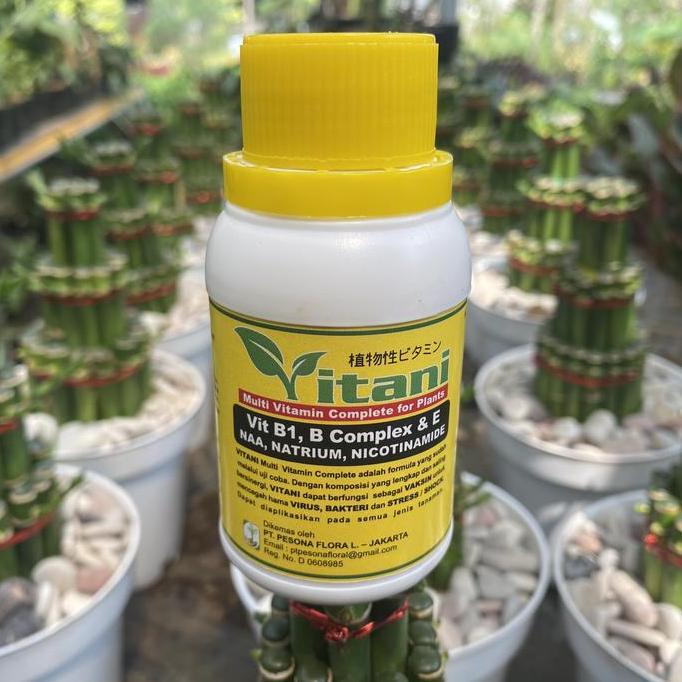 vitamin B1 untuk tanaman menjadi segar asli 100ml