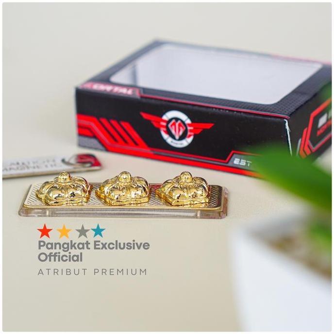 Sparkling- Pin Tanda Jabatan Asn Eselon 2 Tanda Jabatan Asn Eselon 4 Tanda Jabatan Asn Eselon 3 Loga