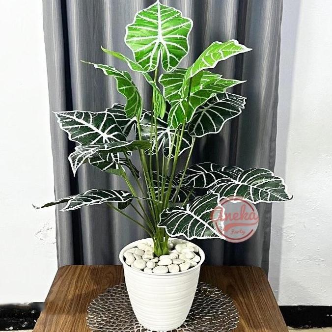 Daun Keladi Talas 18 cabang / Tanaman Keladi Talas / Daun Aglonema Plastik Bunga Hias Artificial