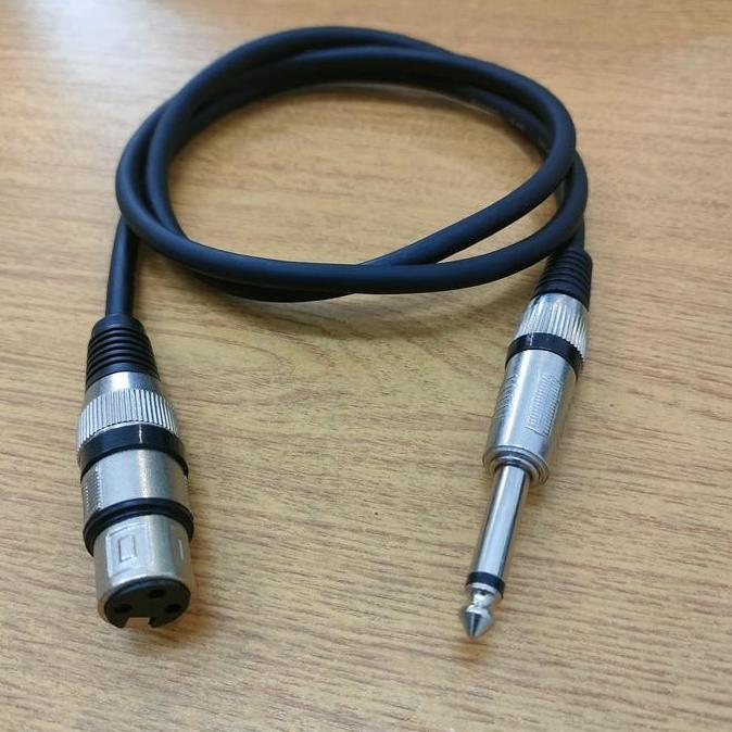 TERLARIS KABEL AUDIO MIXER MIC JACK XLR CANON CEWE TO JACK AKAI MONO 6.5MM