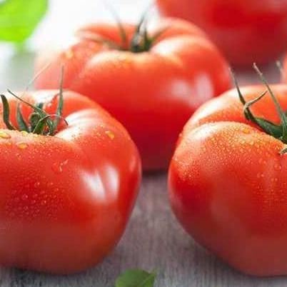 Promo Cod ( 5 Butir ) Benih Biji Tomat Beef | Tomat Beefsteak | Beefsteak Tomato ><