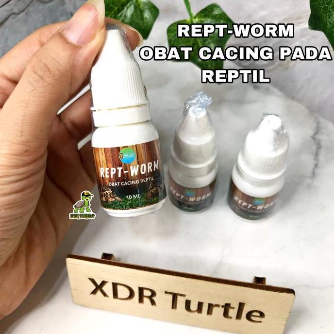REPT-WORM OBAT CACING REPTIL KURA DARAT SULCATA FORSTENI PARDALIS