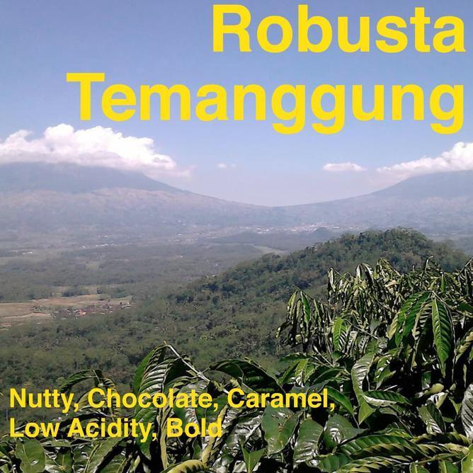 Kopi Robusta Temanggung 1 Kg