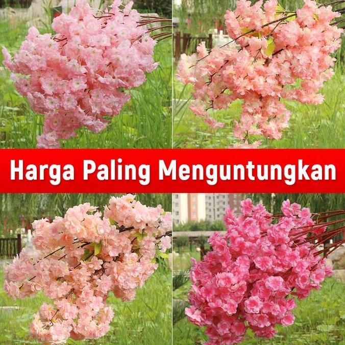boymas_store - 10 bunga raflesia yang bercorak bunga ceri untuk dekorasi interior chun ha, bunga aux