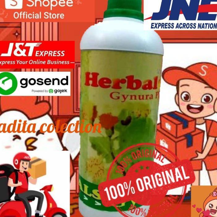 Herbal Gynura Plus Daun Dewa