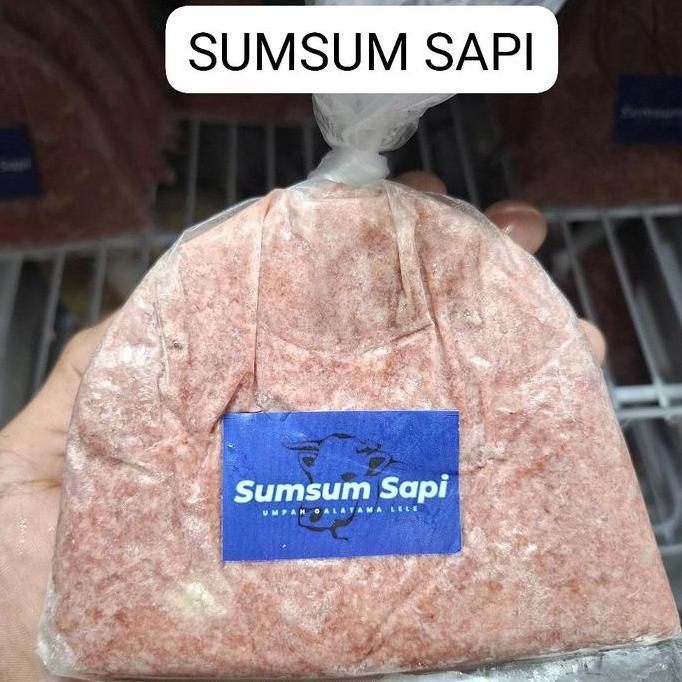 umpan olahan galatama lele DAGING SAPI