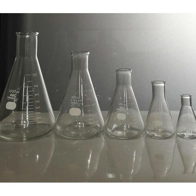 ERLENMEYER IWAKI PYREX 100ML