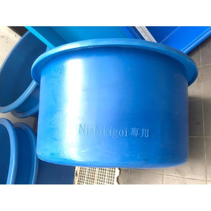 Bak bulat nishikigoi diameter 80cm tinggi 40cm, bak karantina ikan koi