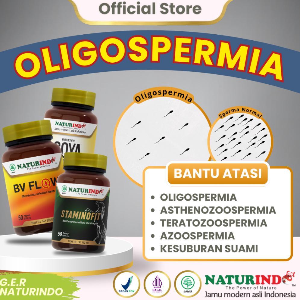 (Terbaru) Herbal Oligospermia Jumlah Sel Sperma Sedikit Kesuburan Sperma Pria GER NATURINDO (Terlari