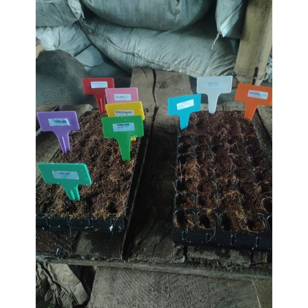 Promo Cod Pot Tray Semai Benih 50 - 100 Lubang Kemasan Potongtebal Kuat Kemasan Ekonomis ><