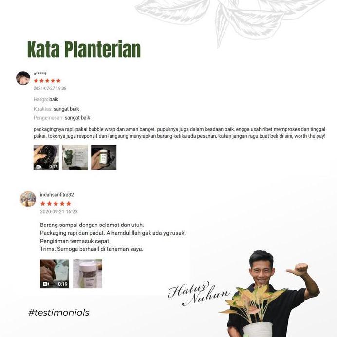 Pupuk Guano Organik Pupuk Guano Kelelawar Organik Bitan