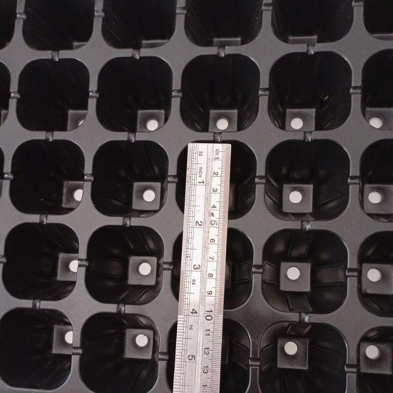 Promo Cod Tray Semai Pot Tray Seedling 50 Lubang Besar ><